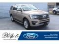 Ford Expedition XLT Desert Gold photo #1