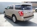 Ford Expedition XLT Desert Gold photo #6