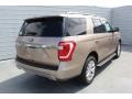 Ford Expedition XLT Desert Gold photo #8