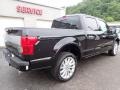 Ford F150 Limited SuperCrew 4x4 Agate Black photo #2
