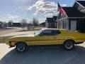 Ford Mustang Mach 1 Grabber Yellow photo #3