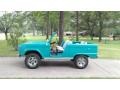 Ford Bronco Roadster Caribbean Turquoise photo #1