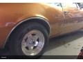 Pontiac Firebird Coupe Gold photo #3