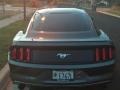 Ford Mustang EcoBoost Coupe Magnetic Metallic photo #15