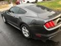 Ford Mustang EcoBoost Coupe Magnetic Metallic photo #24