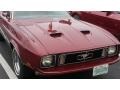 Ford Mustang Hardtop Grande Ruby Red photo #1