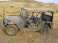 Ford M151A2 4x4 Utility Truck OD Green photo #2