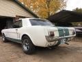 Ford Mustang Coupe Wimbledon White photo #6