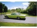 Ford Thunderbird Coupe Keylime Green photo #2