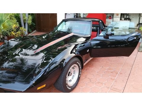 Black 1979 Chevrolet Corvette Coupe
