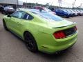 Ford Mustang GT Fastback Grabber Lime photo #7