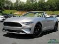 Ford Mustang EcoBoost Convertible Iconic Silver photo #1