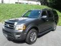 Ford Expedition XLT 4x4 Magnetic photo #2
