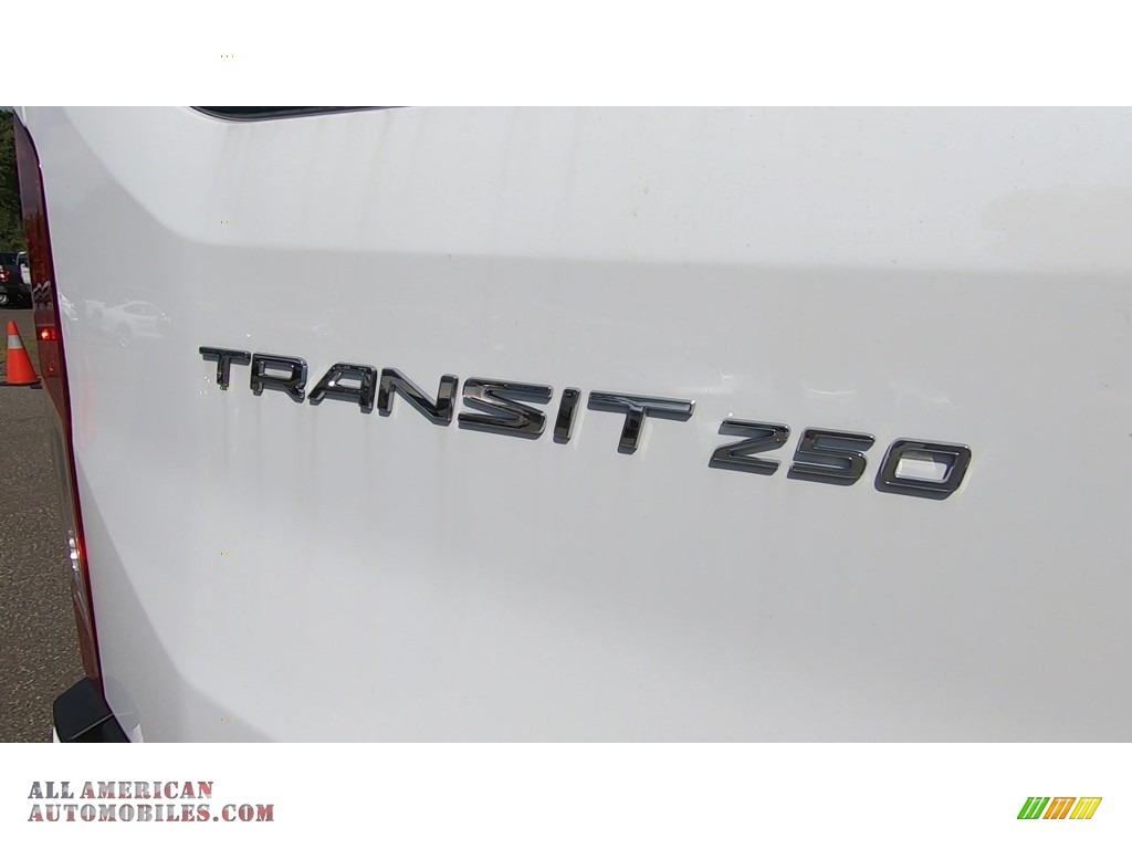 2020 Transit Van 250 MR Long - Oxford White / Dark Palazzo Grey photo #9
