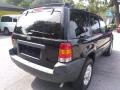 Ford Escape XLT V6 Black Clearcoat photo #3