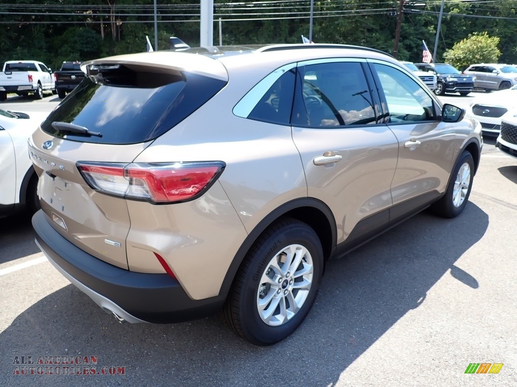 2020 ford escape desert gold