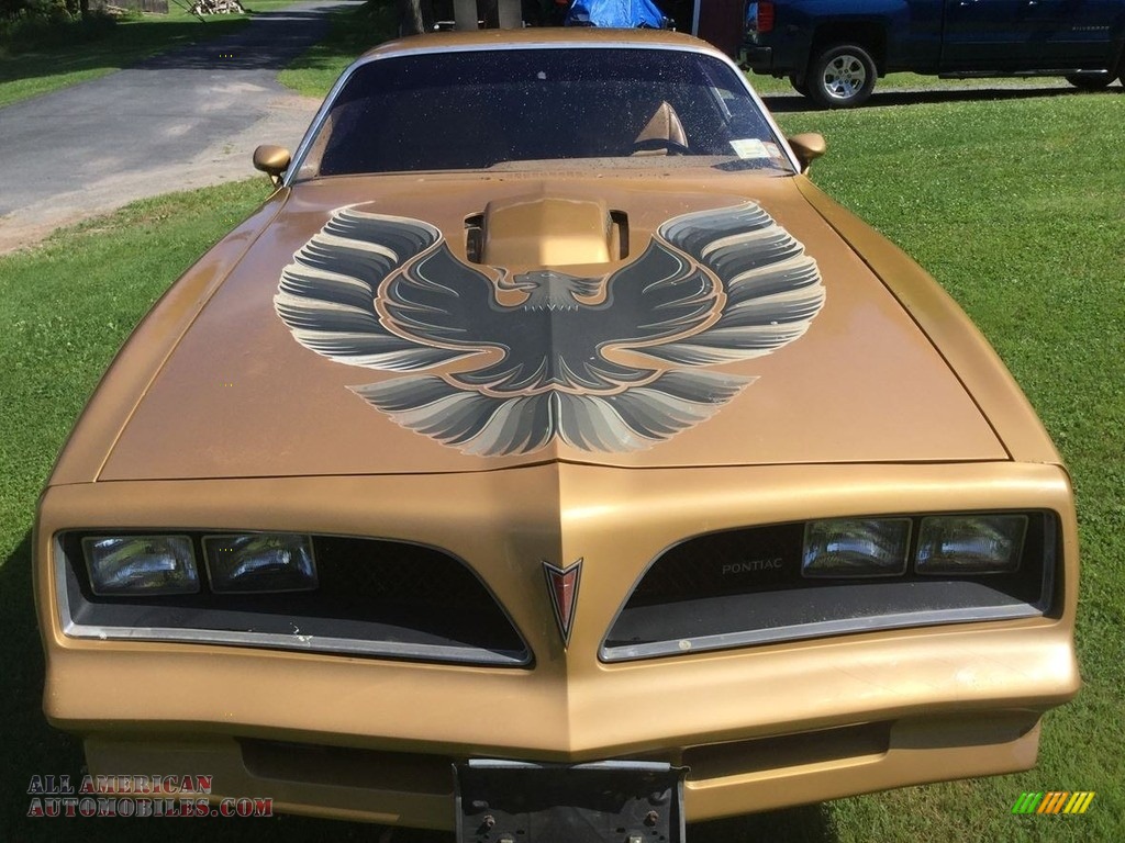 1978 Firebird Trans Am Coupe - Solar Gold / Camel photo #1