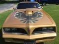 Pontiac Firebird Trans Am Coupe Solar Gold photo #1