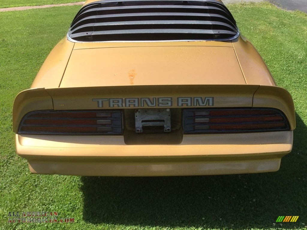 1978 Firebird Trans Am Coupe - Solar Gold / Camel photo #7