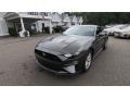 Ford Mustang EcoBoost Fastback Magnetic photo #3