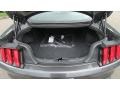 Ford Mustang EcoBoost Fastback Magnetic photo #20