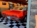 Pontiac Firebird Sport Coupe Carousel Red photo #8