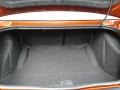 Dodge Challenger R/T Scat Pack Widebody Sinamon Stick photo #13