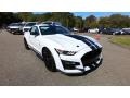Ford Mustang Shelby GT500 Oxford White photo #1