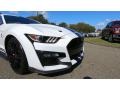 Ford Mustang Shelby GT500 Oxford White photo #30