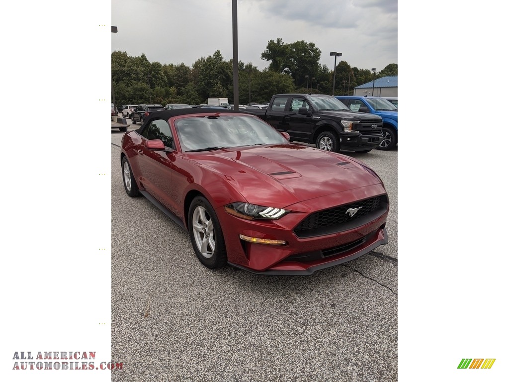 2019 Mustang EcoBoost Convertible - Ruby Red / Ebony photo #3