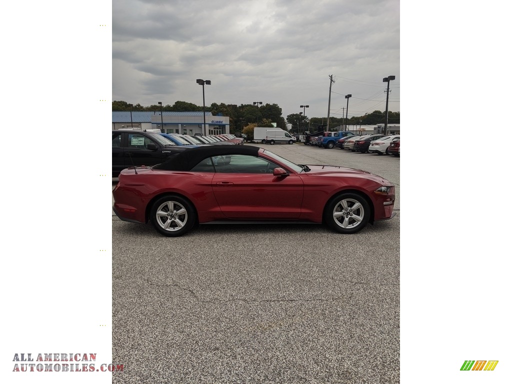 2019 Mustang EcoBoost Convertible - Ruby Red / Ebony photo #4