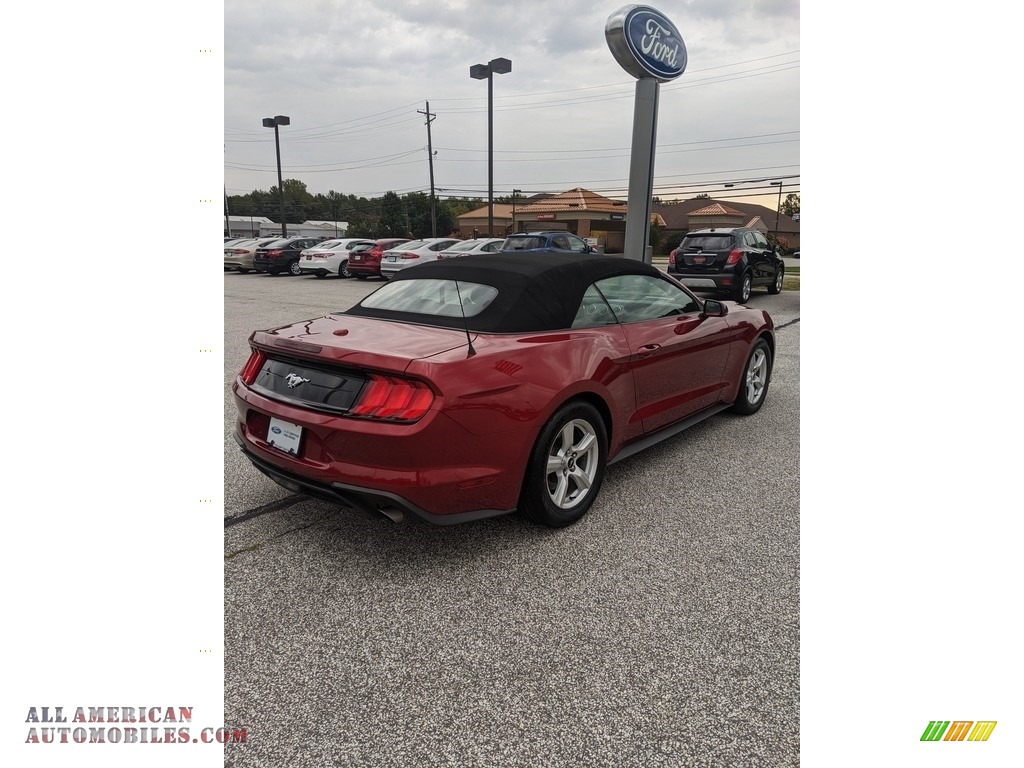 2019 Mustang EcoBoost Convertible - Ruby Red / Ebony photo #5