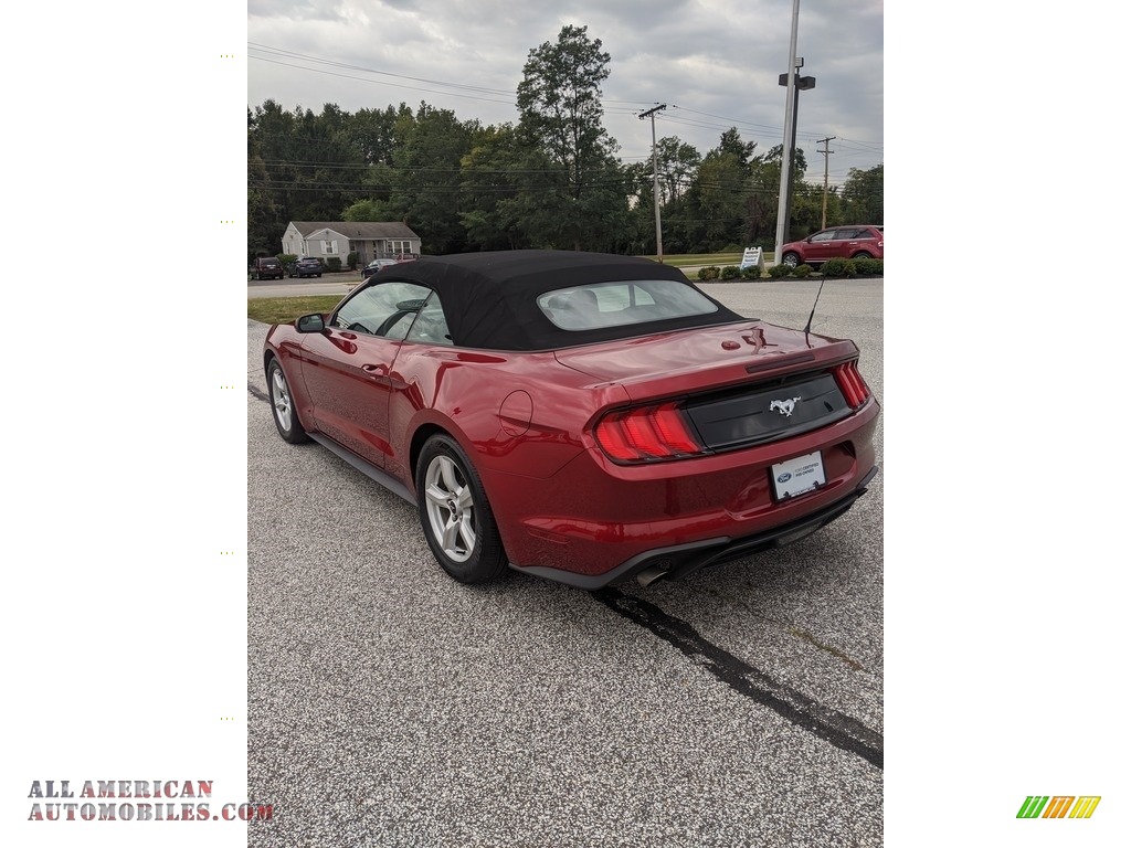 2019 Mustang EcoBoost Convertible - Ruby Red / Ebony photo #7