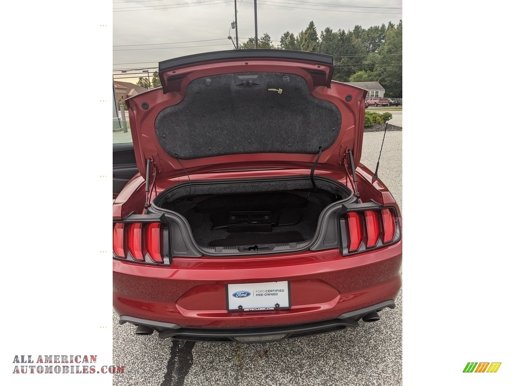 2019 Mustang EcoBoost Convertible - Ruby Red / Ebony photo #13