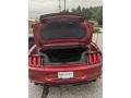 Ford Mustang EcoBoost Convertible Ruby Red photo #13