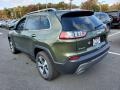 Jeep Cherokee Limited 4x4 Olive Green Pearl photo #6