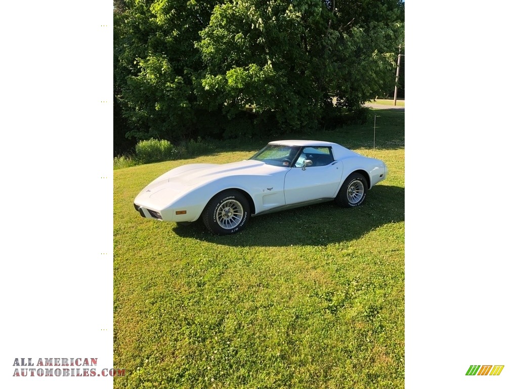 1977 Corvette Coupe - Classic White / Blue photo #1