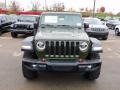 Jeep Wrangler Unlimited Rubicon 4x4 Sarge Green photo #2