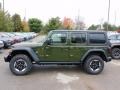 Jeep Wrangler Unlimited Rubicon 4x4 Sarge Green photo #9