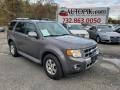 Ford Escape Limited 4WD Sterling Gray Metallic photo #1