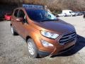 Ford EcoSport SE 4WD Canyon Ridge Metallic photo #3