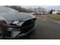 Ford Mustang GT Fastback Magnetic photo #25