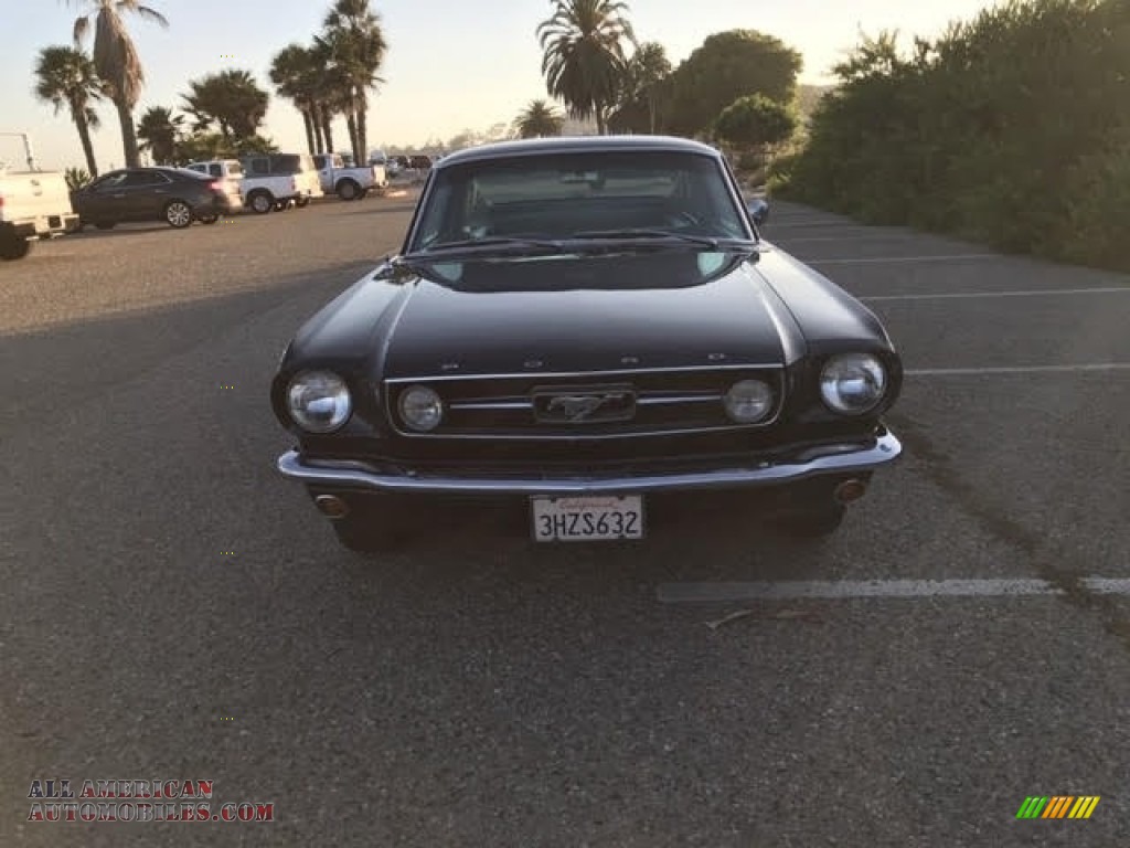 1966 Mustang Coupe - Midnight Blue / Blue/White Pony photo #3