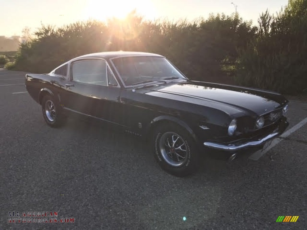 1966 Mustang Coupe - Midnight Blue / Blue/White Pony photo #4