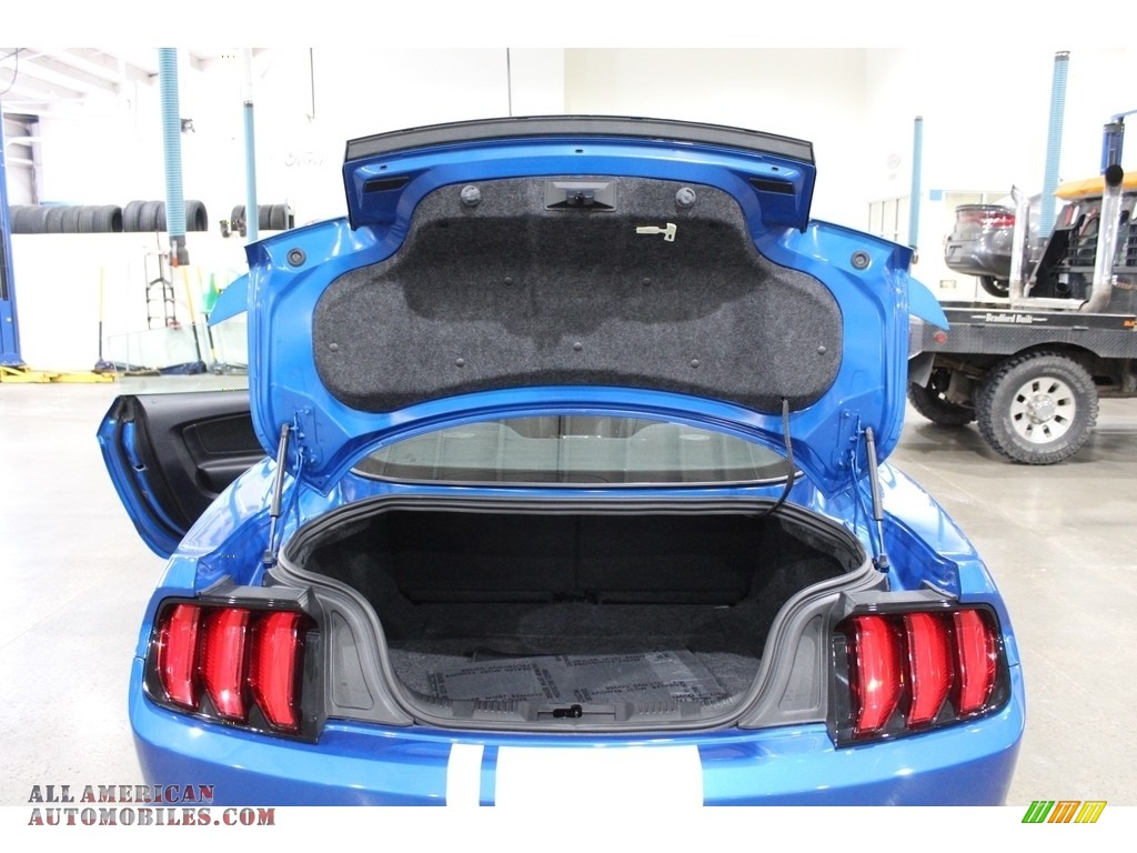 2019 Mustang GT Fastback - Velocity Blue / Ebony photo #13