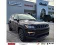 Jeep Compass 80th Special Edition 4x4 Diamond Black Crystal Pearl photo #1