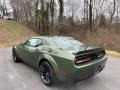 Dodge Challenger R/T Scat Pack Widebody F8 Green photo #8