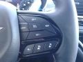 Chrysler Pacifica Touring L Luxury White Pearl photo #20