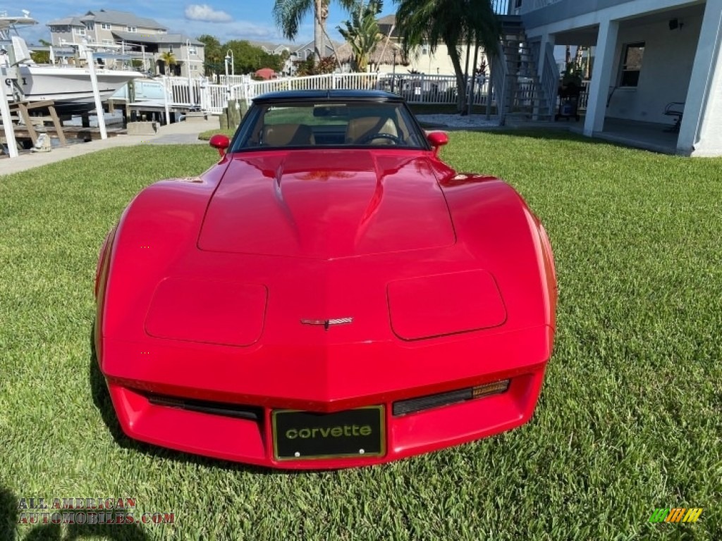 1981 Corvette Coupe - Autumn Red / Camel photo #6