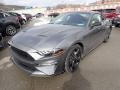 Ford Mustang EcoBoost Fastback Carbonized Gray Metallic photo #5